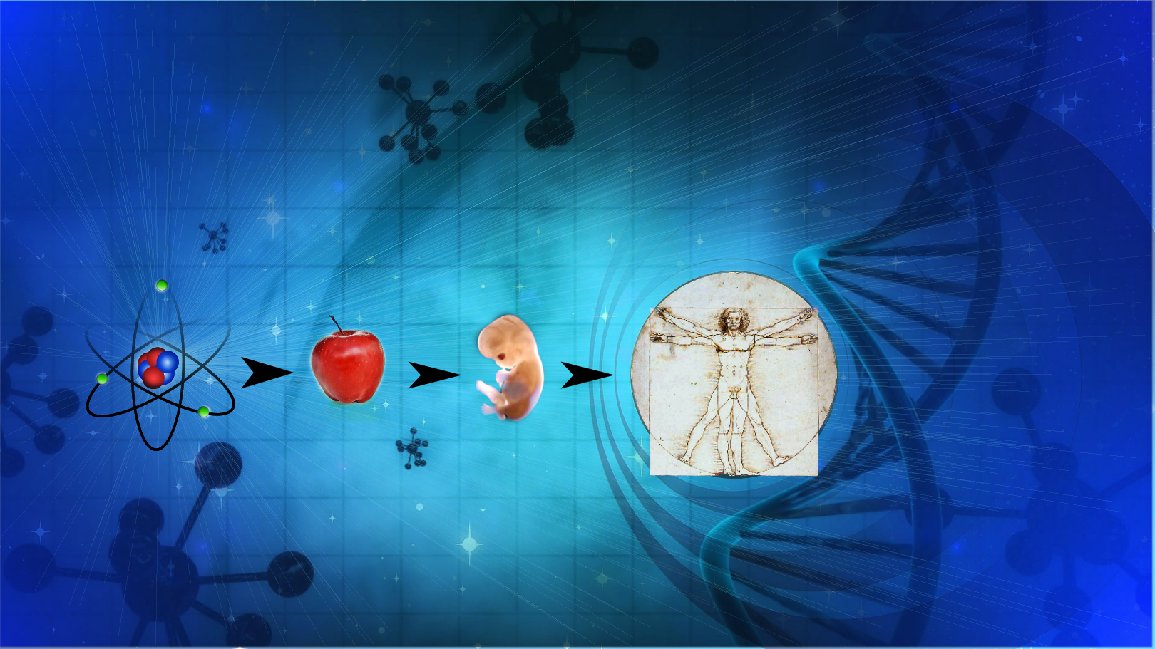 Atomic Atomic - Institute Biology Biology